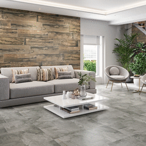 Estaleiro - 85597 ambiente