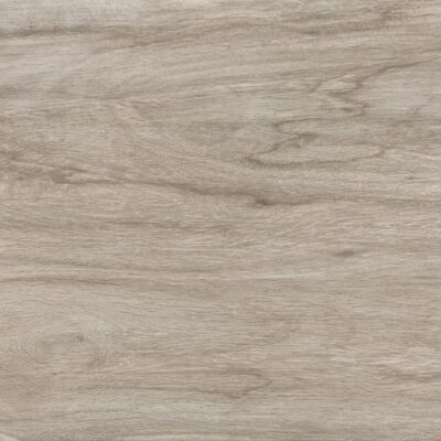 Avalon-Lux-61027-Face1-555x555 Avalon-Lux-61027-Face1-555x555