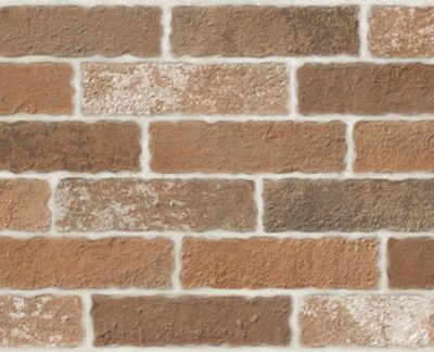 C54010-face1-555x324