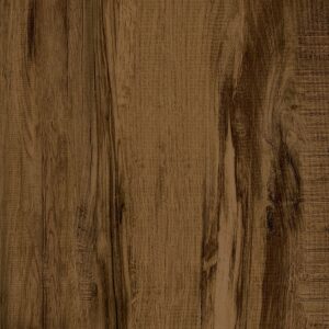 foto-ecotech-expresso-ac-0-1580912723-0502202020112523